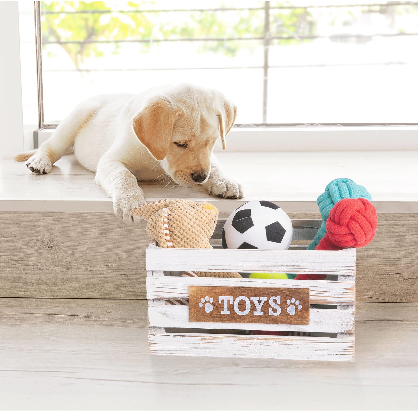 Paw Print Wooden Pet Toys Storage Box Collection Basket Wooden Crates Dog Gift Hampers