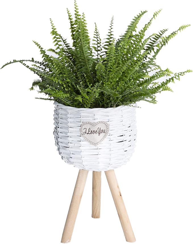 White Wicker Basket Plant Stand with Plastic Lining