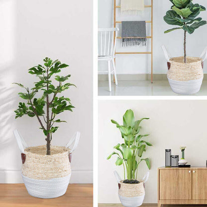 Natural Seagrass Belly Indoor Planter Storage Basket Flower Pot